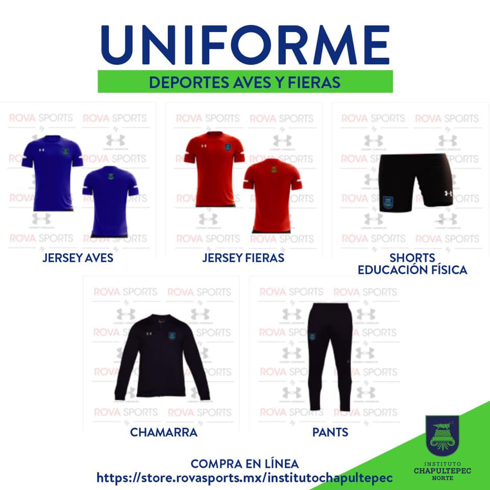 Odoo • Text and Image