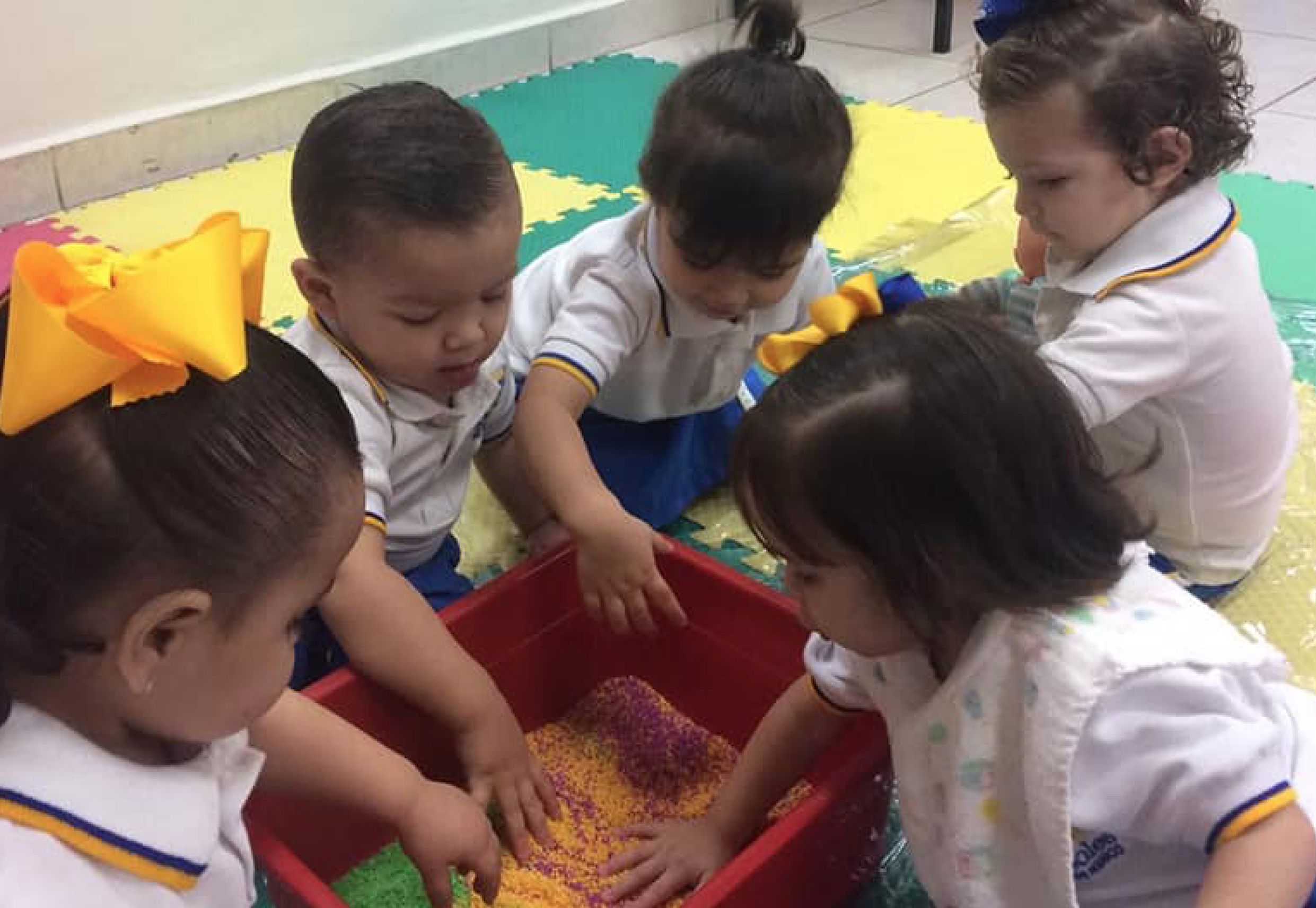 Odoo - Prueba 1 a tres columnas