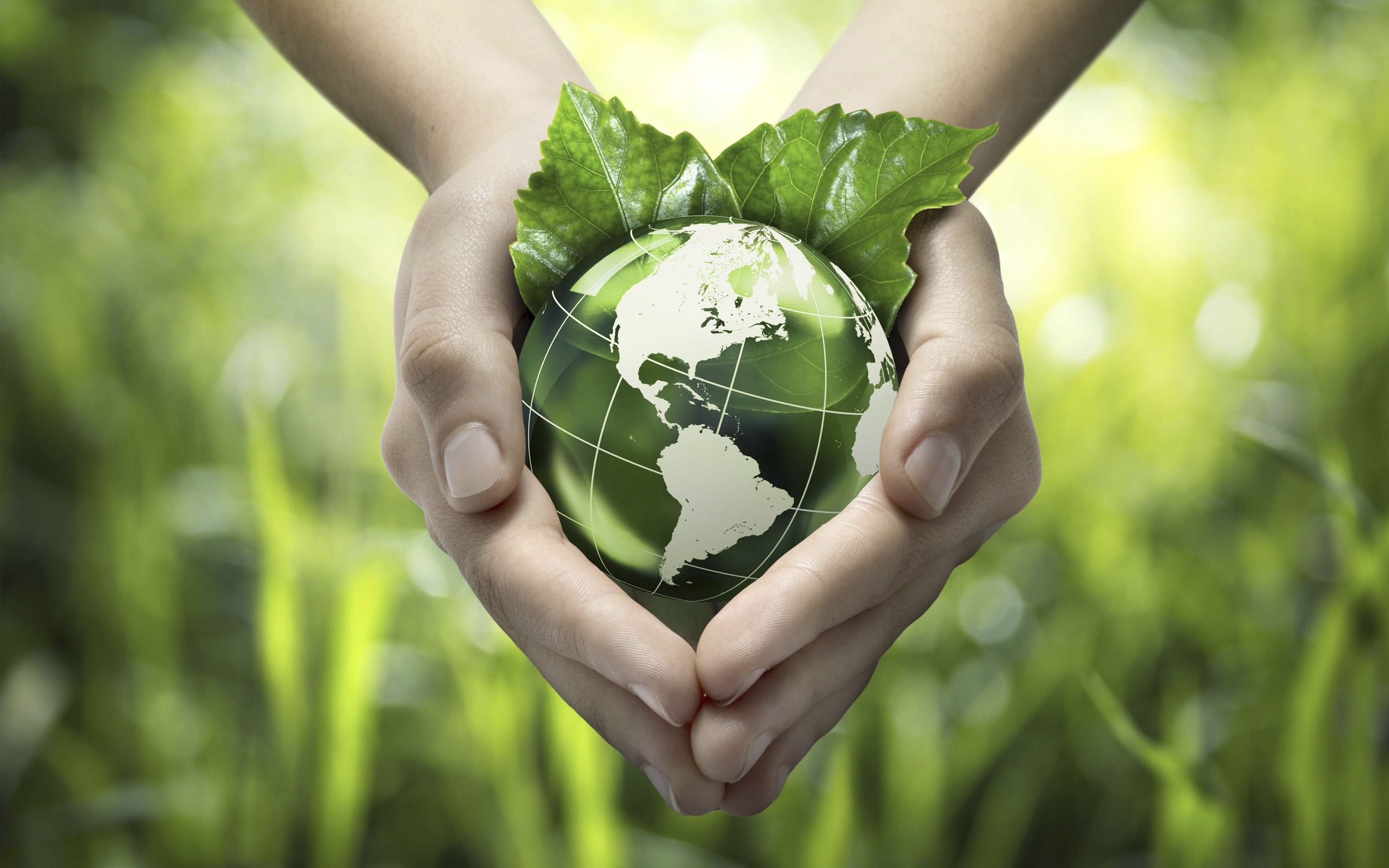 Odoo - Prueba 3 a tres columnas