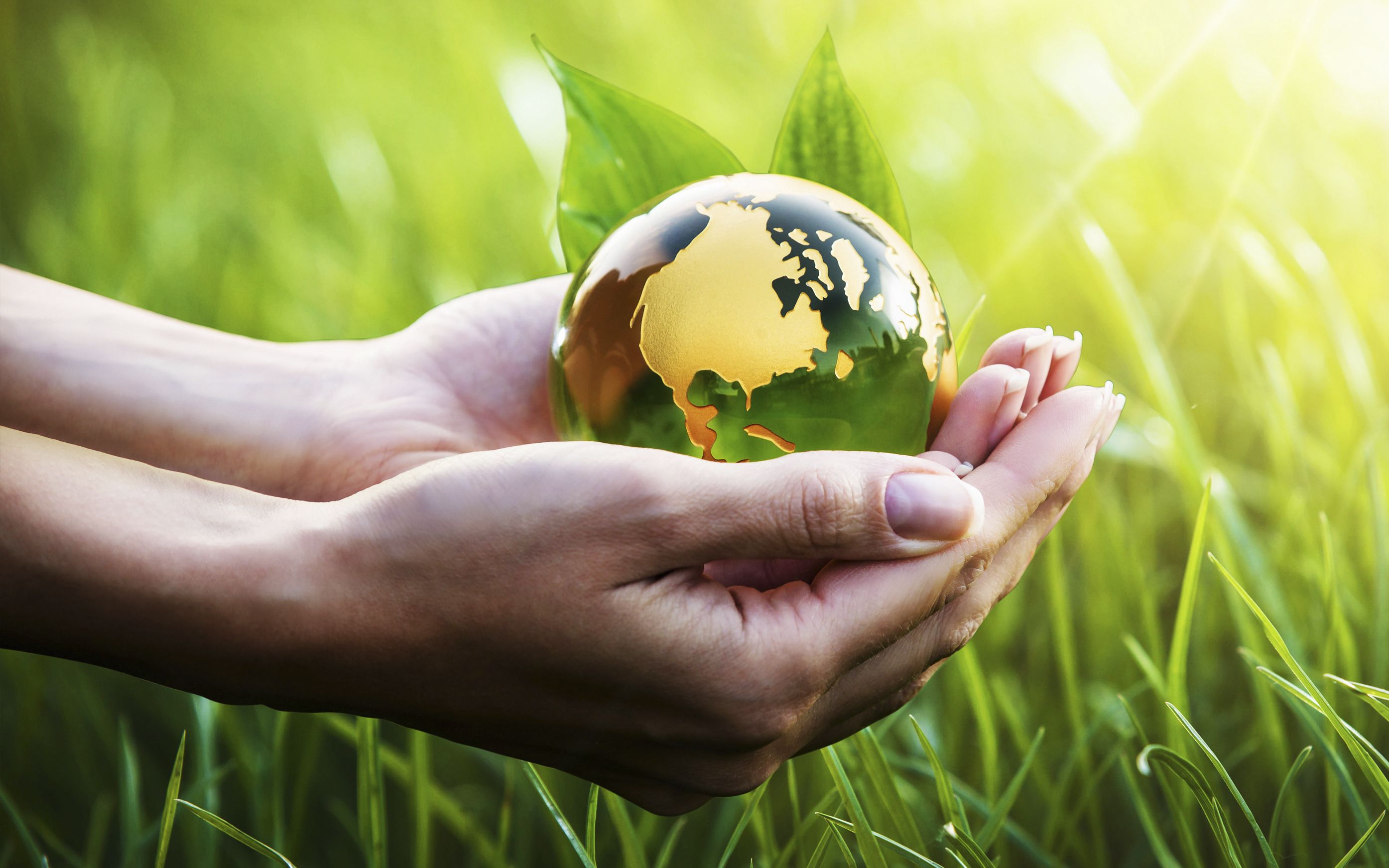 Odoo - Prueba 1 a tres columnas