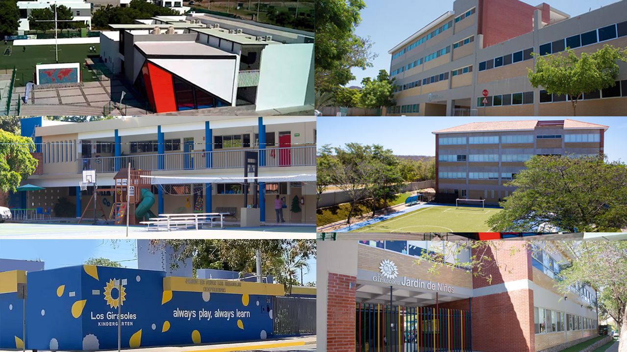 Odoo • Text and Image