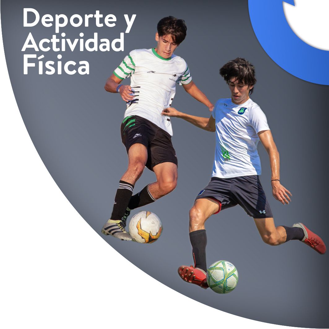 Odoo • Image and Text